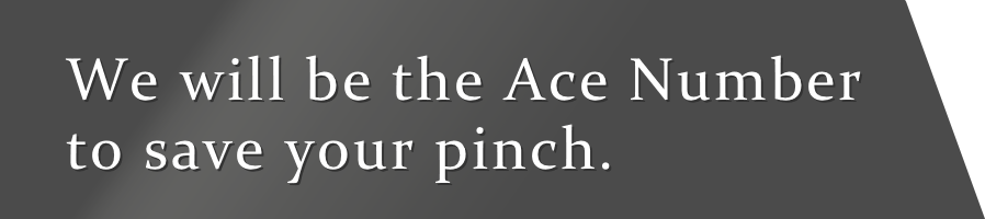 We will be the Ace Number to save your pinch.